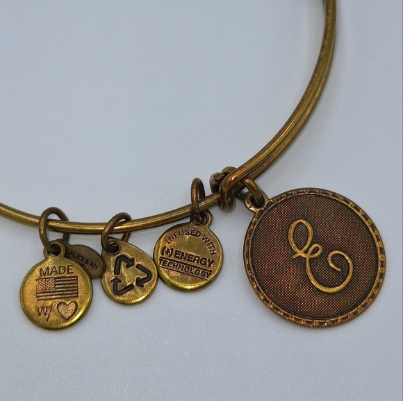 Alex and Ani Rafaelian Gold Finish "E" Bangle - Picture 3 of 9